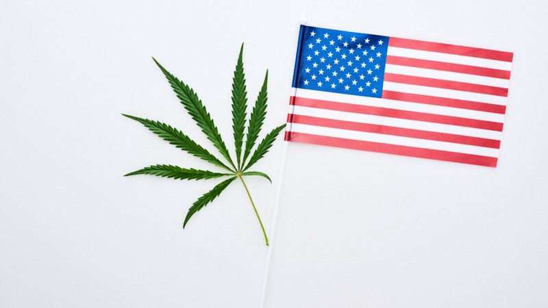 image of marijuana leaf and america flag