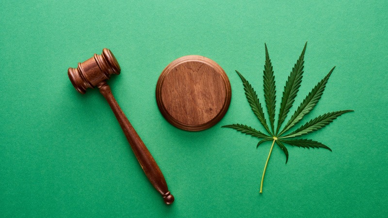 Gavel and Hemp Leaf Green Background