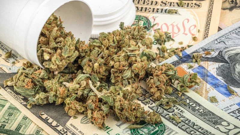 Cannabis buds spilled out from a white plastic container onto hundred dollar bills