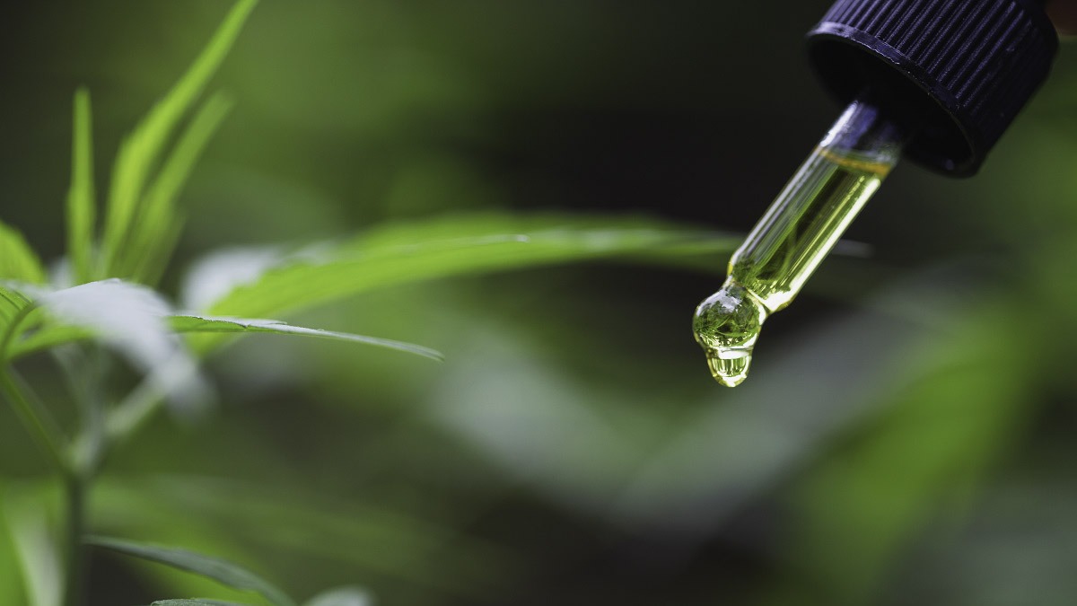 close up image of a cbd dropper with oil inside in a green hemp background