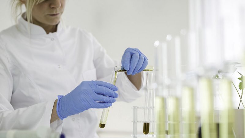 A woman scientist styding CBD oil held inside glass bottles