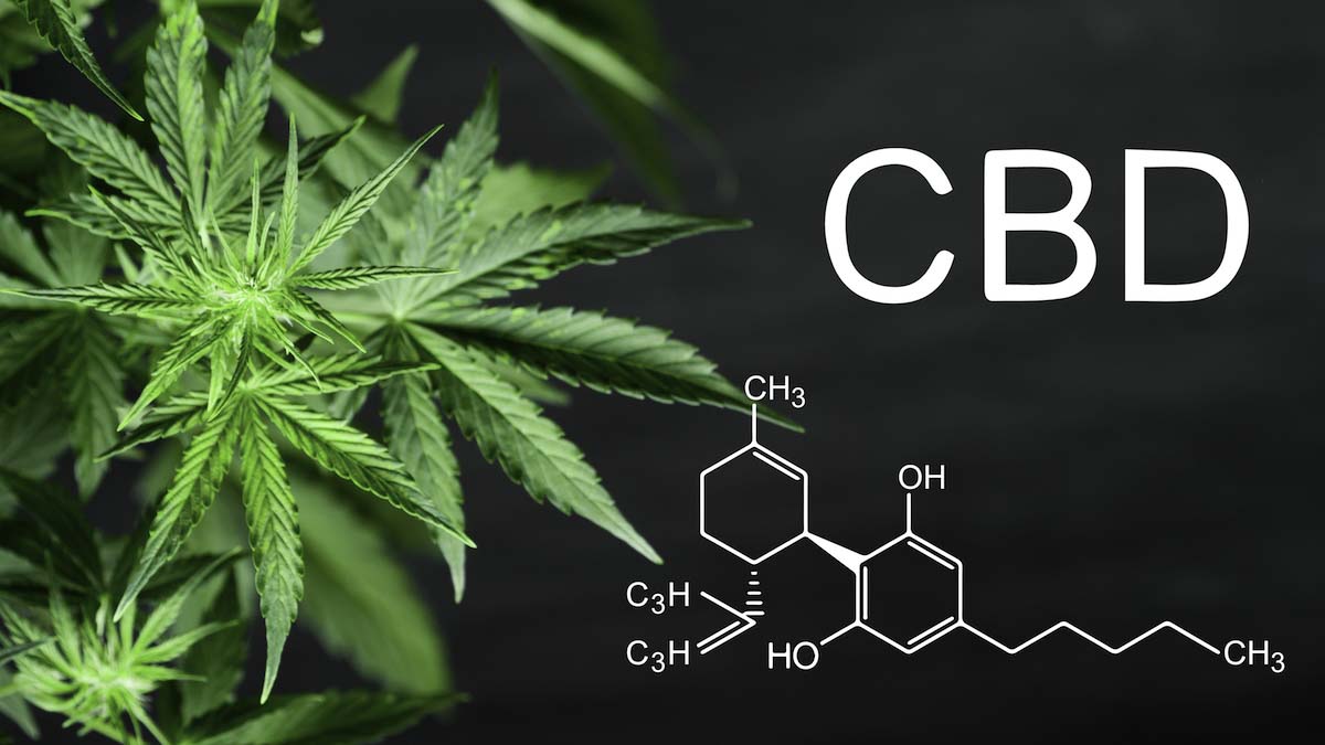 CBD chemistry illustration in white text next to a hemp plant in a black background