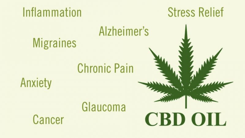 benefits of cbd oil illustrated in hemp green text with hemp icon above cbd oil text