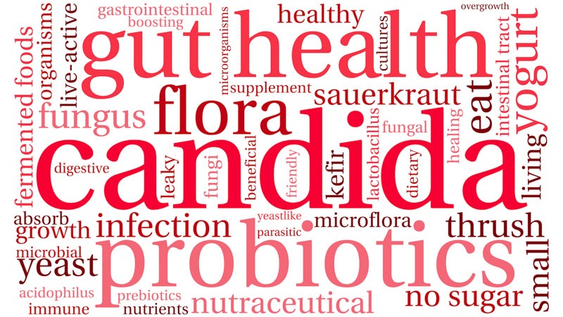 Candida word cloud on a white background.