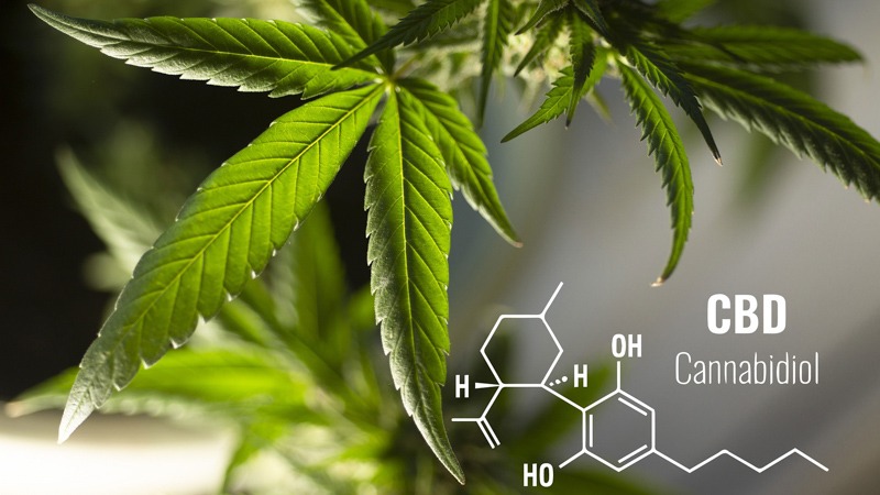 hemp leaf and cbd chemistry compound illustration