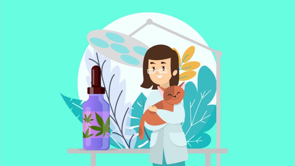 Best CBD Oil For Cats With Cancer Essential Guide We Be High
