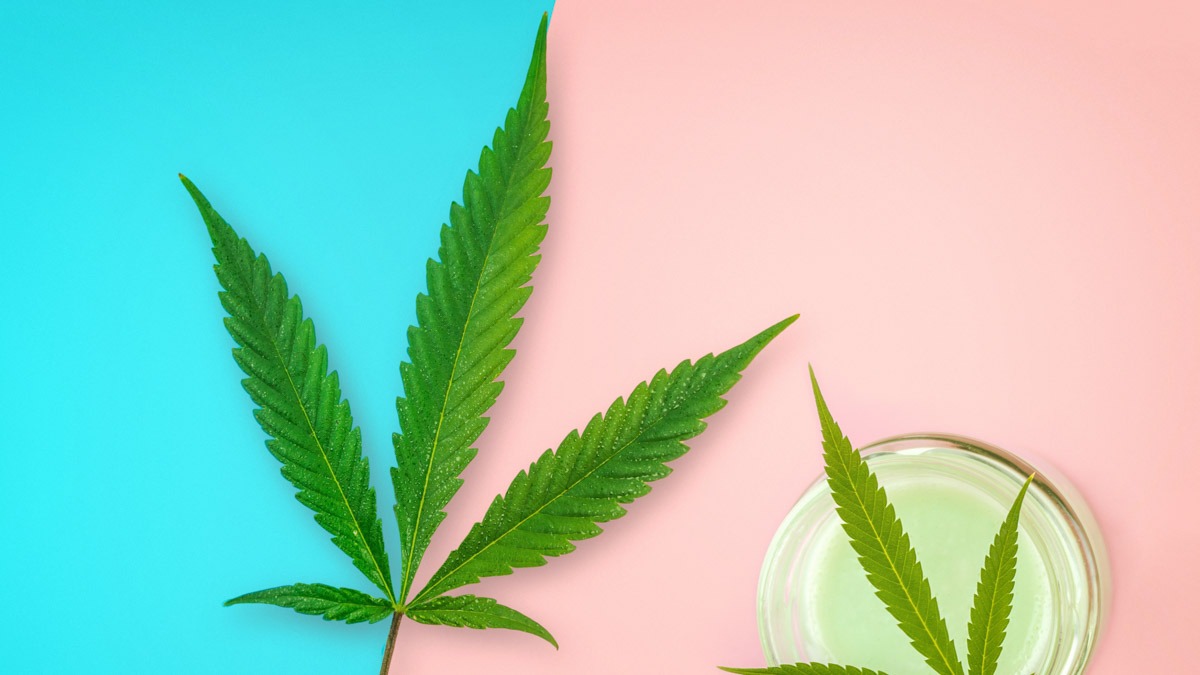 Jar with CBD lotion and Cannabis leaf in the middle of pastel pink and blue background