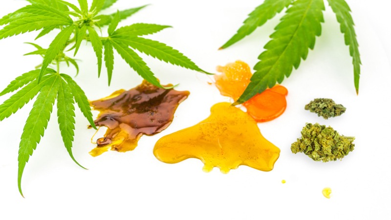 cbd extraction products with hemp leaf on white background