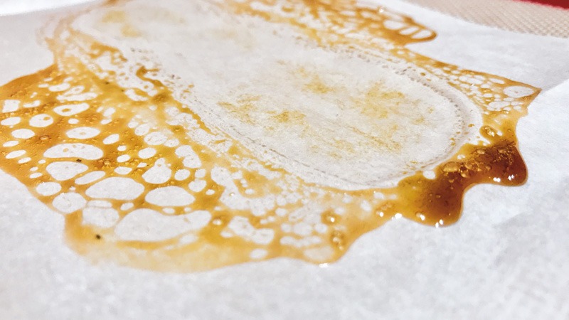 cbd rosin freshly pressed on parchment paper