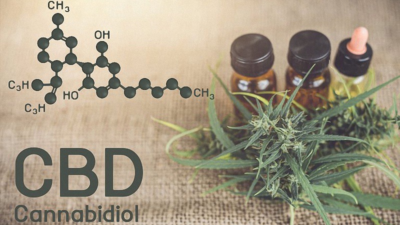 Molecular Structure of CBD with CBD Oil and Hemp Plants