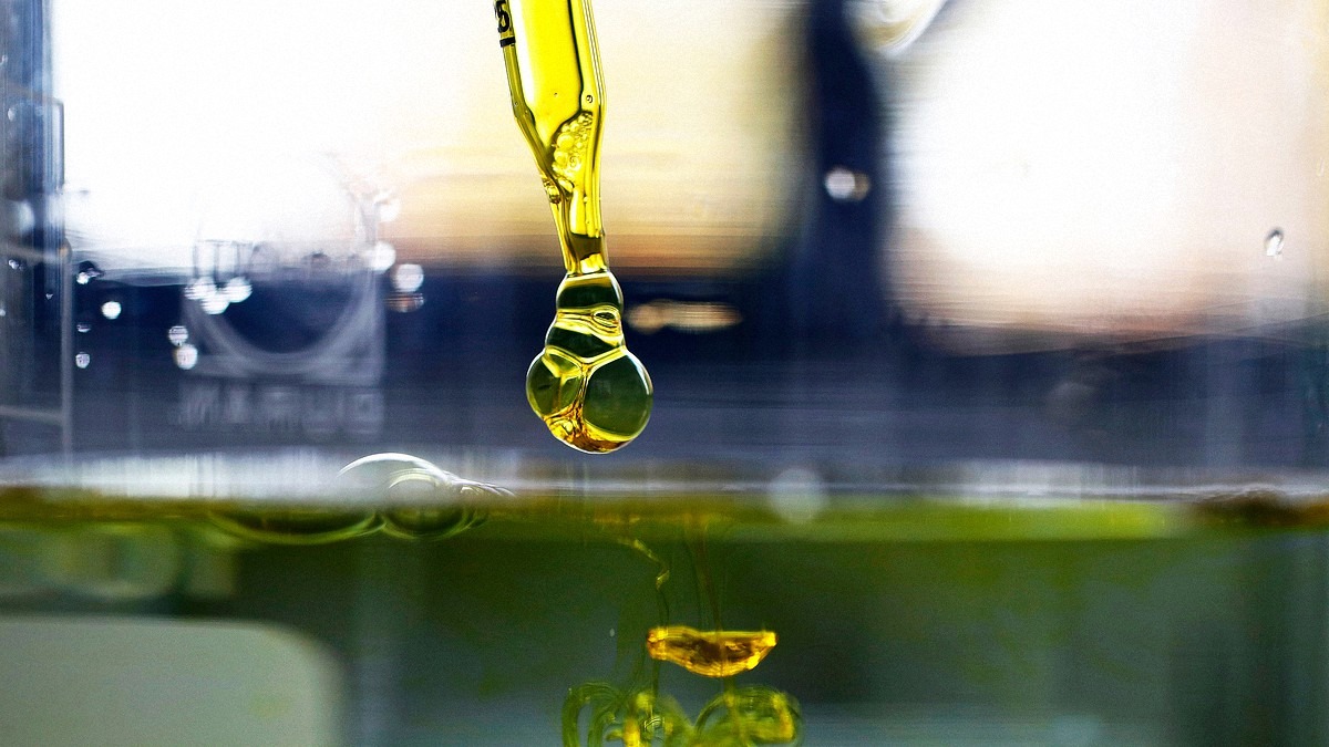 CBD Oil Drop From the Pipette