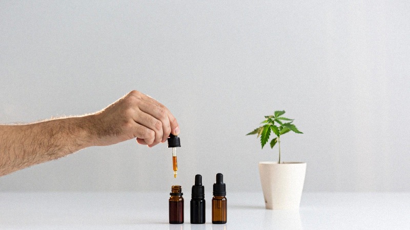 Hand Holding CBD Dropper with Three Bottles of CBD and Hemp Plant on a Pot