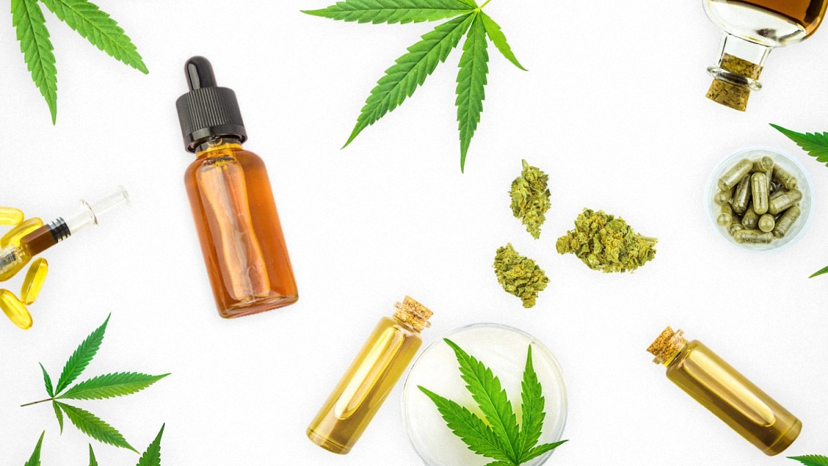 How Long Does CBD Oil Stay In Your System We Be High how-long-does-cbd-oil-stay-in-your-system-we-be-high
