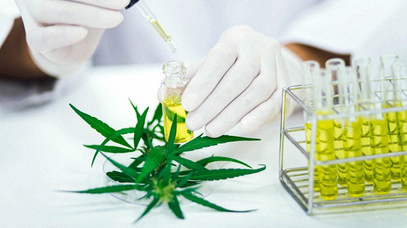 Laboratory Testing for CBD Oil with Hemp Flower