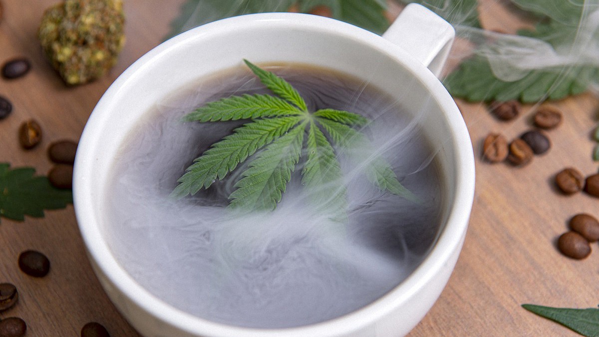 Hemp leaf inside a coffee cup with coffee bean and hemp flower on a wooden table