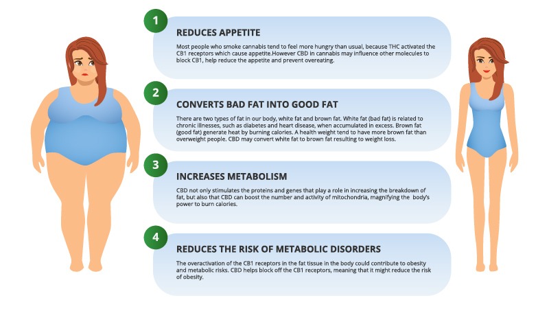 CBD benefits for Weight Loss