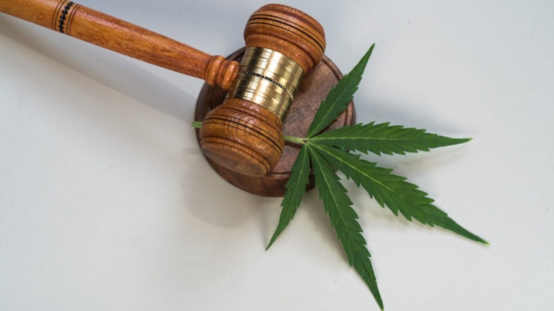 Judge Gavel with Hemp Leaf in Between in a White Background