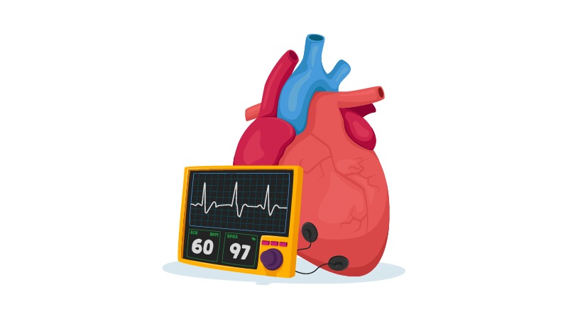 Illustration of a heart and blood pressure monitor on white background