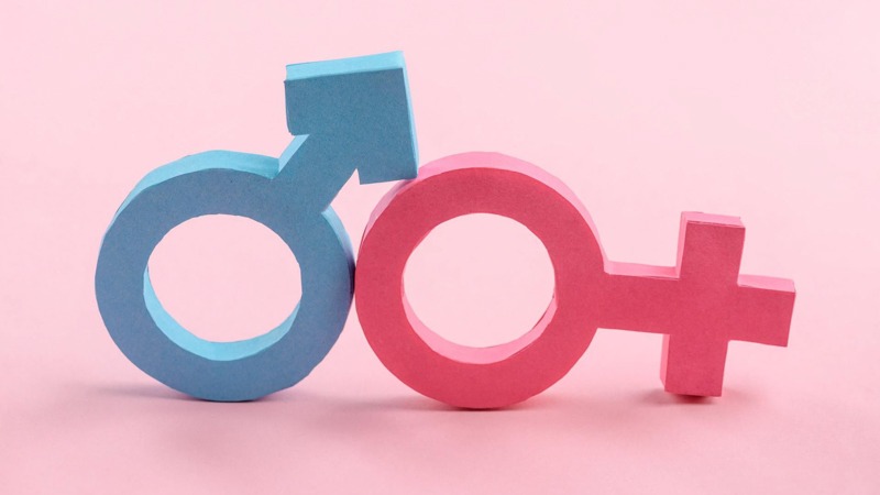Male and Female Symbol on a Pink Background