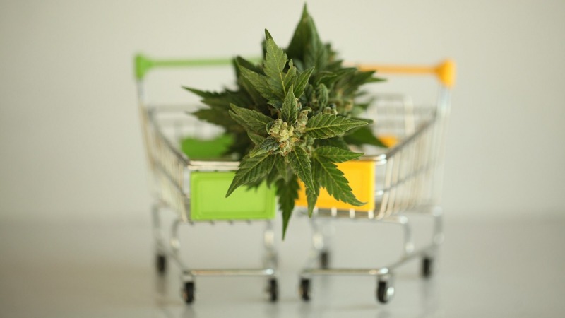 Trolleys with Hemp Leaves