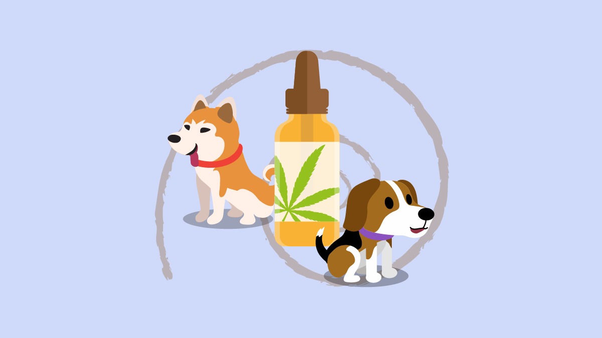 Illustration of dogs with a bottle of cbd pet oil