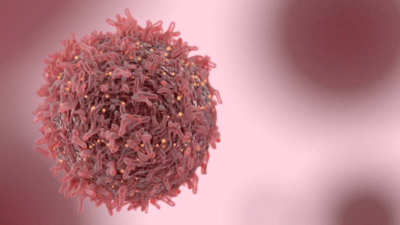 Cancer Cell in Pink Color and Background