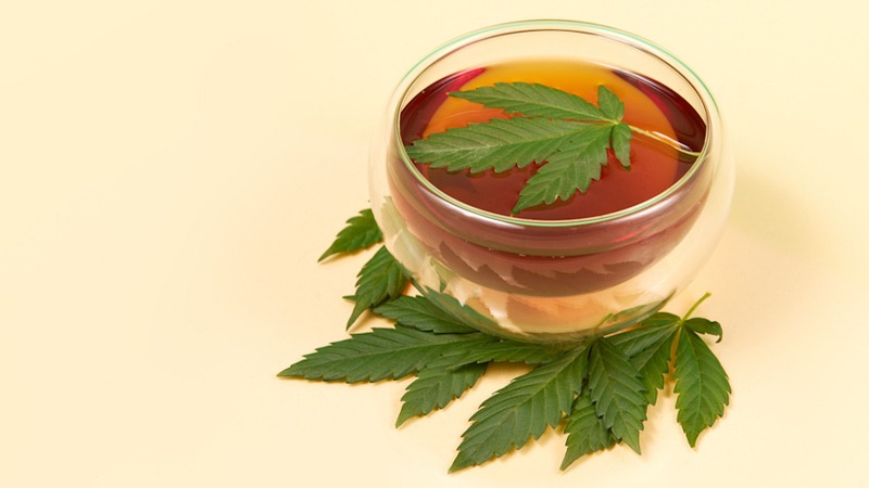 Tea on a Glass with Hemp Leaf on Top with Another Hemp Leaves on the Peach Surface