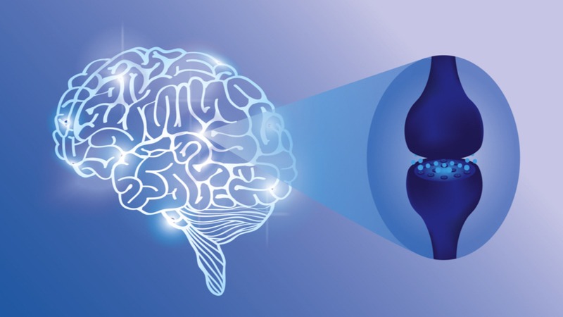 Illustration of Endocannabinoid System in Blue Background