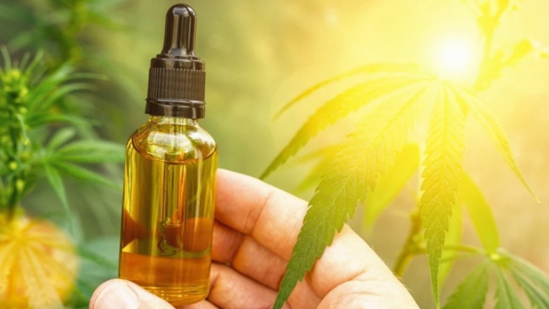 Hand Holding the CBD Oil Bottle with Hemp Leaves Background and Sunlight