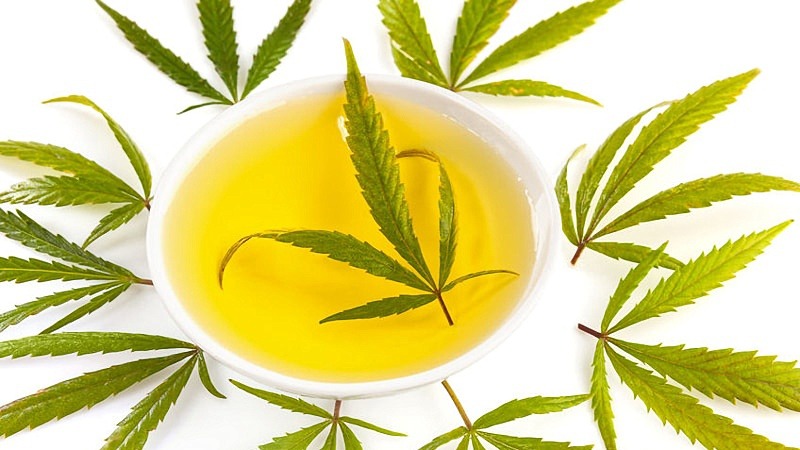 cannabis leaves around CBD oil in a bowl with a leaf