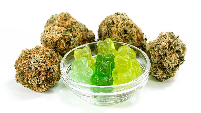 Cannabis with CBD gummies in a bowl