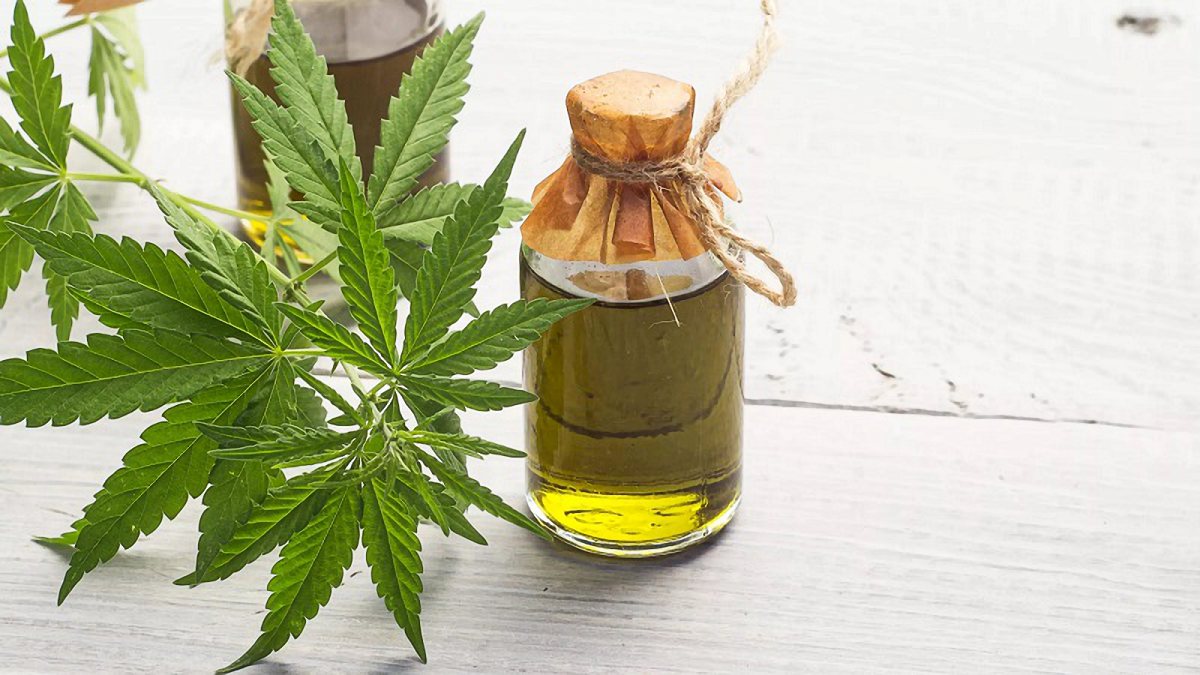 CBD oil extract in a bottle with cannabis plant