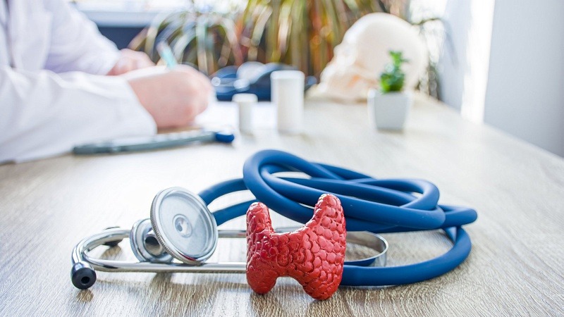 a thyroid model and a stethoscope on a table and a doctor wrting an prescription at the back