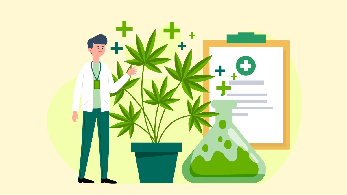 a scientist with marijuana plant and lab equipments