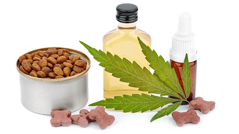 CBD oil in a bottle, a dropper, a hemp leaf and dog treats with white background