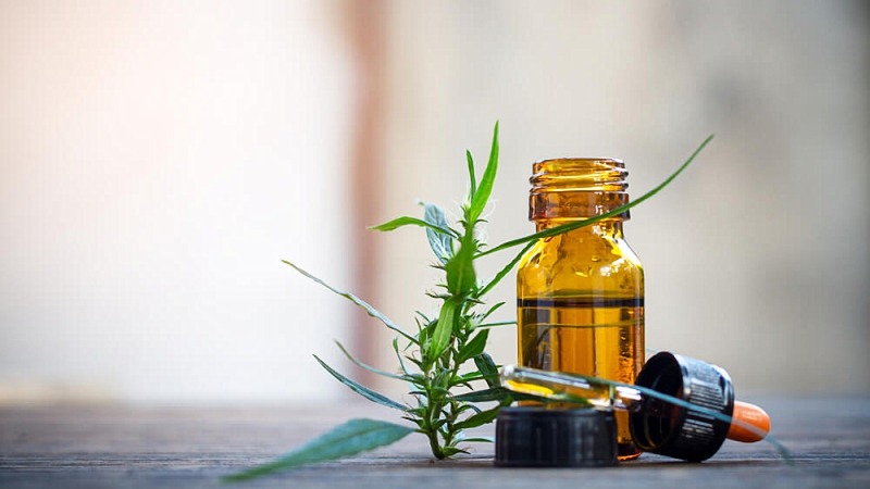 an open bottle of CBD oil, a dropper, and hemp leaves placed on a table